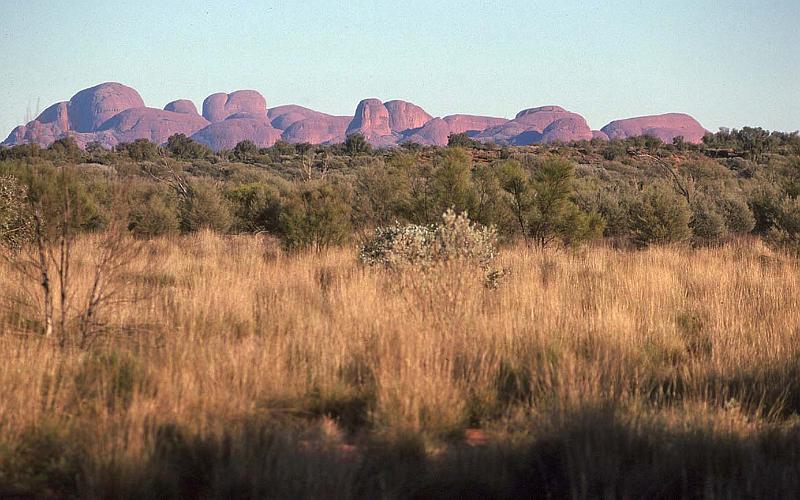 WT 0400 094-13 Australia.jpg